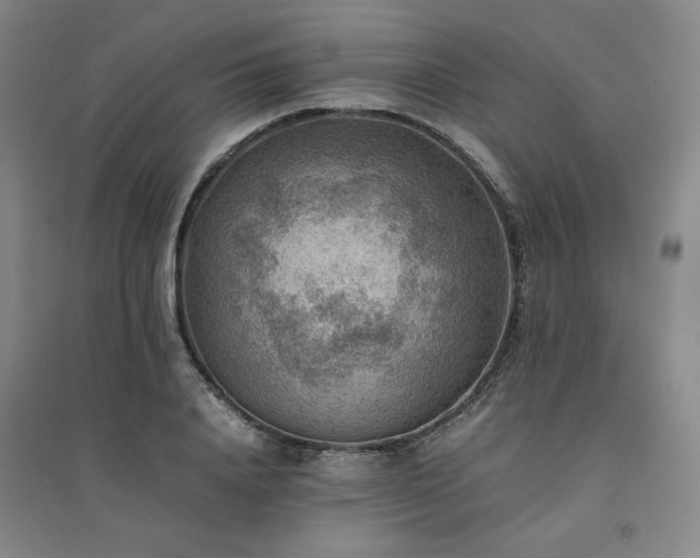 X0000094800840200711161456