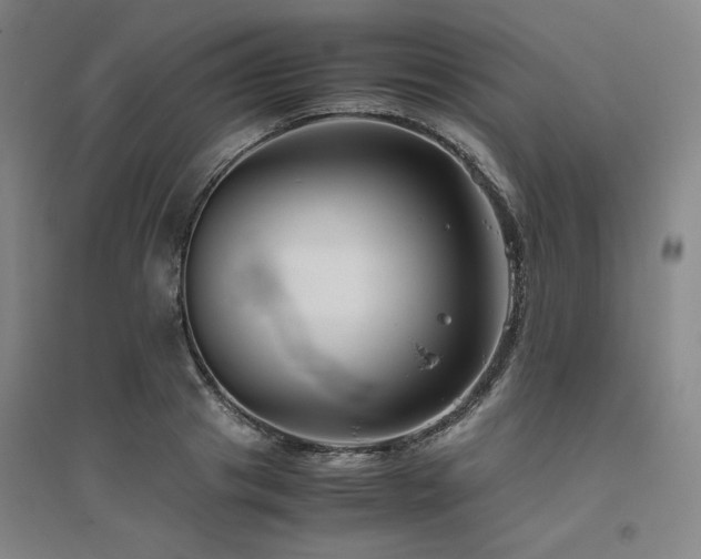 X0000094800841200711161456