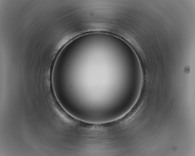 X0000094800842200711161456