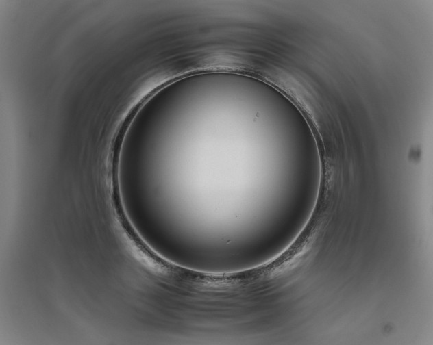 X0000094800843200711161456