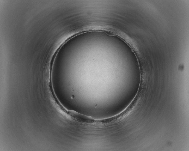 X0000094800844200711161456