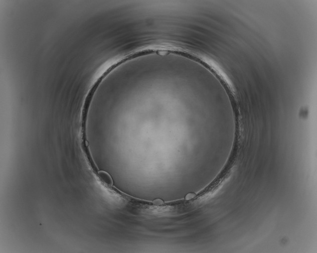 X0000094800845200711161456
