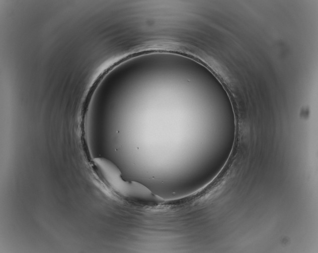 X0000094800846200711161456