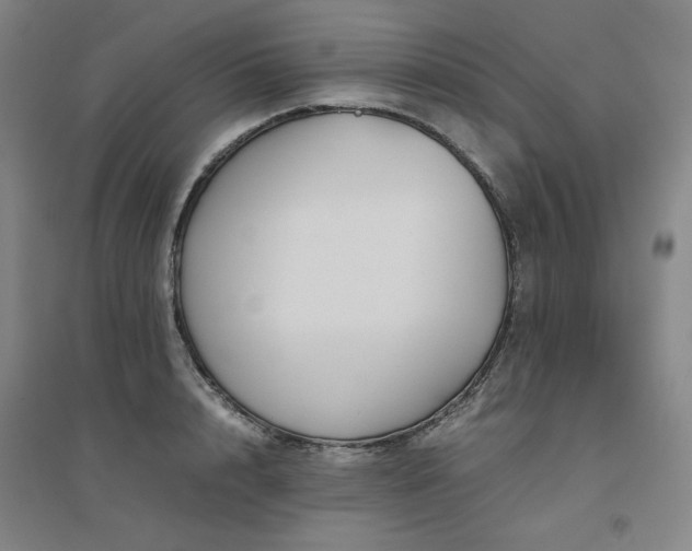 X0000094800848200711161456