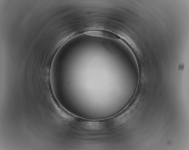 X0000094800849200711161456