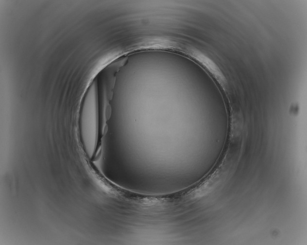 X0000094800850200711161456
