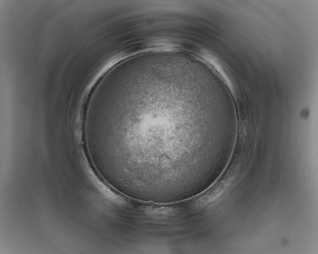 X0000094800851200711161456