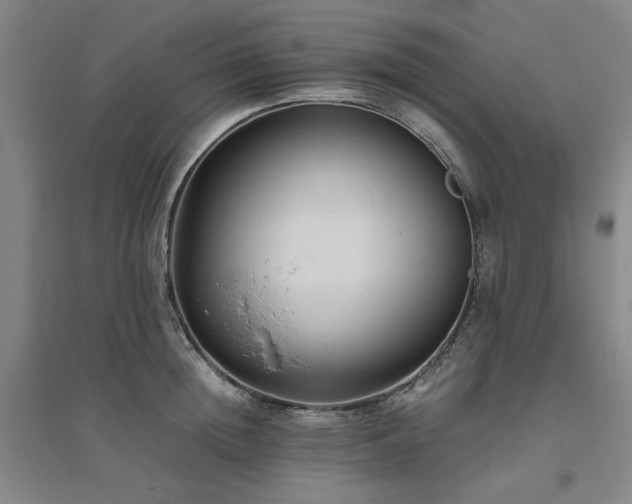 X0000094800852200711161456