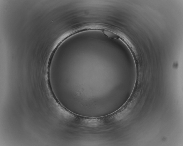 X0000094800853200711161456