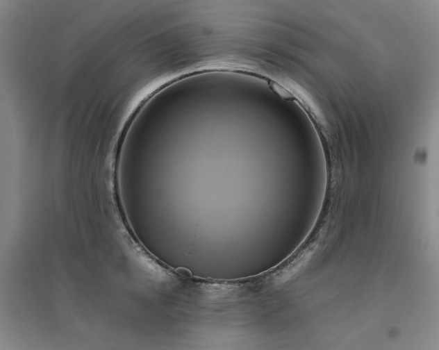 X0000094800854200711161456