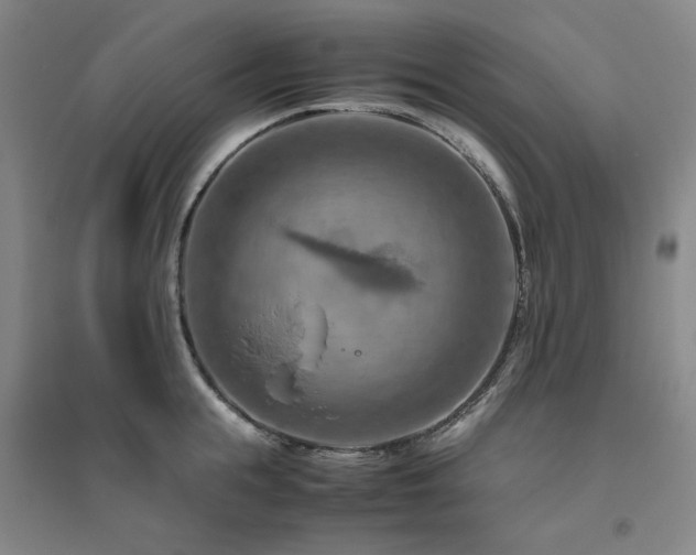 X0000094800855200711161456