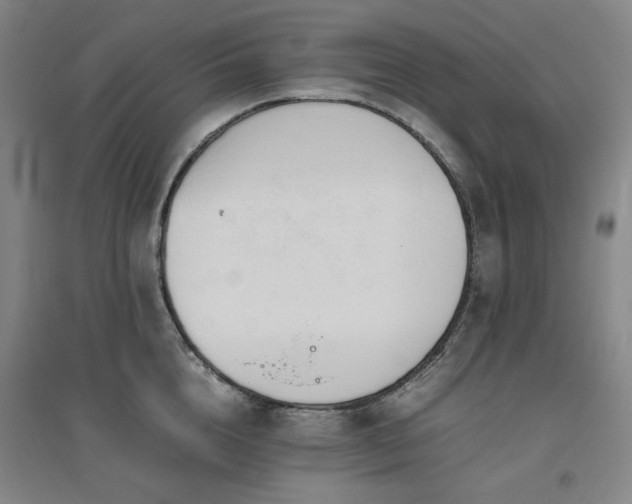 X0000094800856200711161456