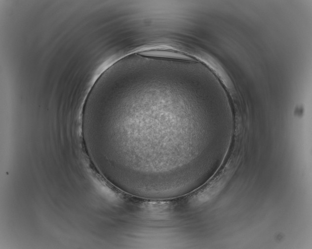 X0000094800858200711161456