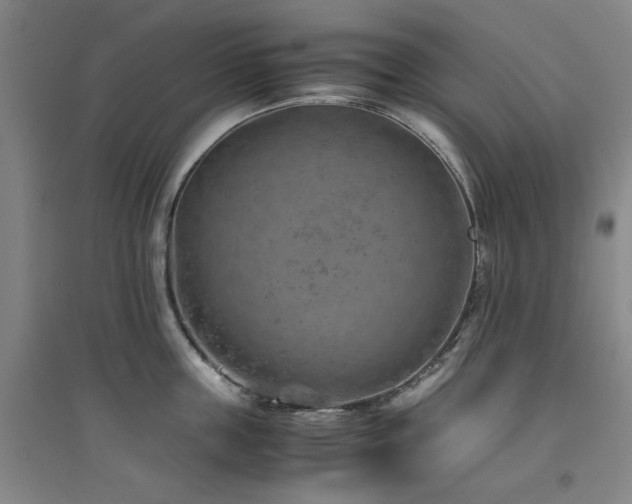 X0000094800859200711161456