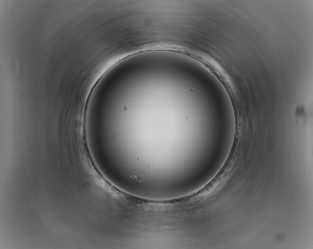 X0000094800860200711161456