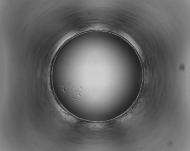 X0000094800861200711161456