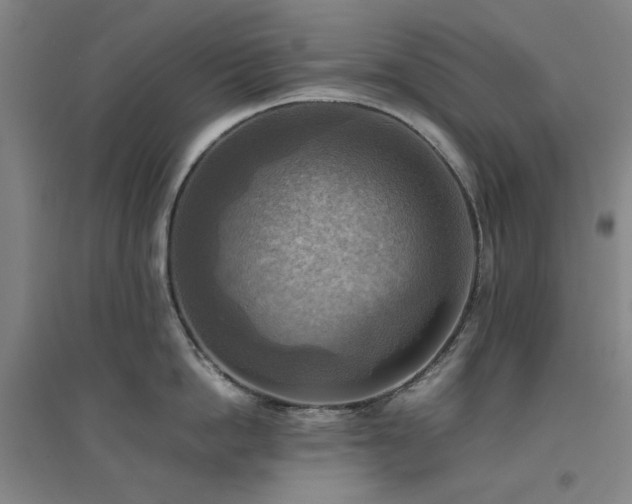 X0000094800862200711161456