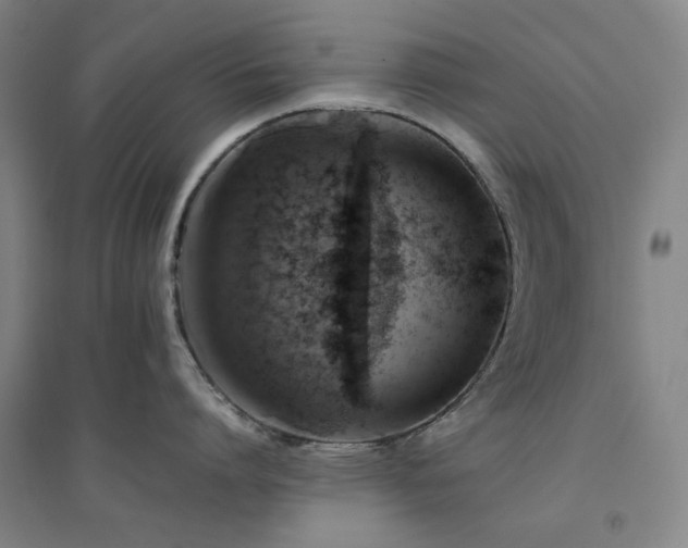 X0000094800864200711161456