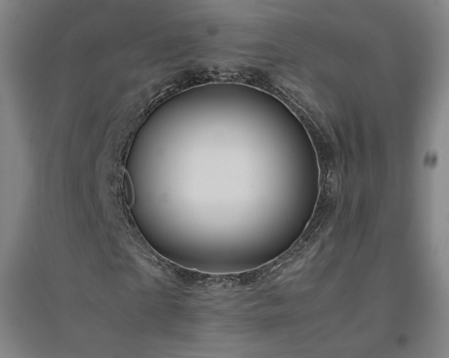 X0000094800865200711161456