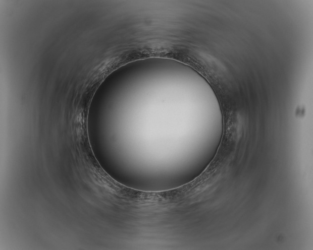 X0000094800866200711161456