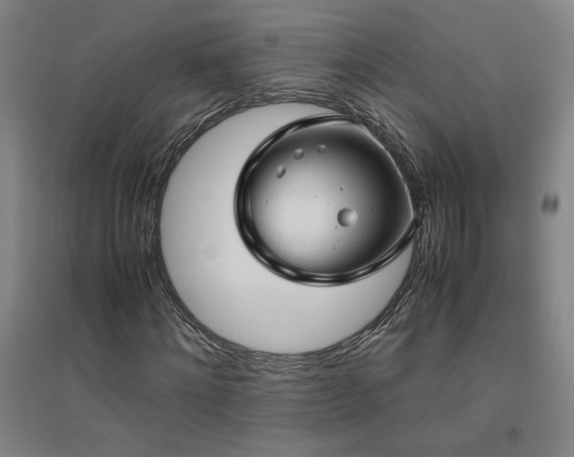 X0000094800868200711161456