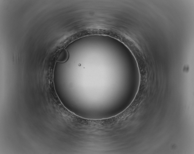 X0000094800870200711161456
