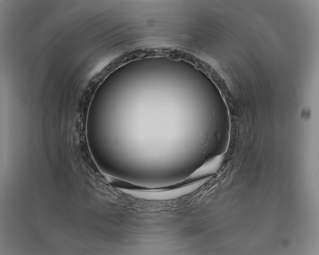 X0000094800871200711161456