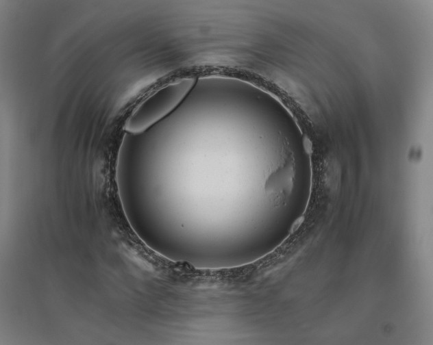 X0000094800872200711161456
