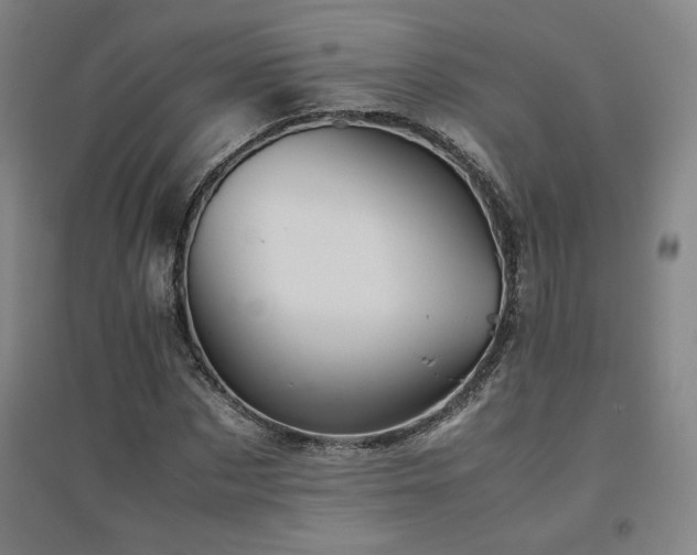 X0000094800873200711161456