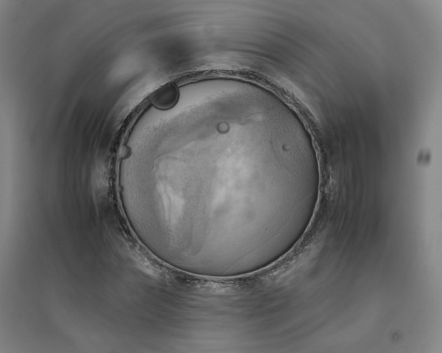 X0000094800874200711161455