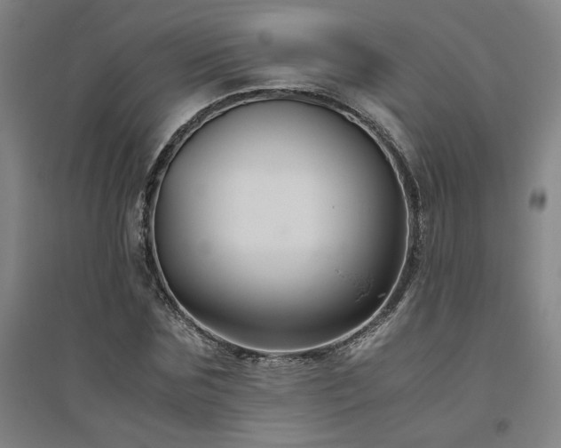 X0000094800875200711161455