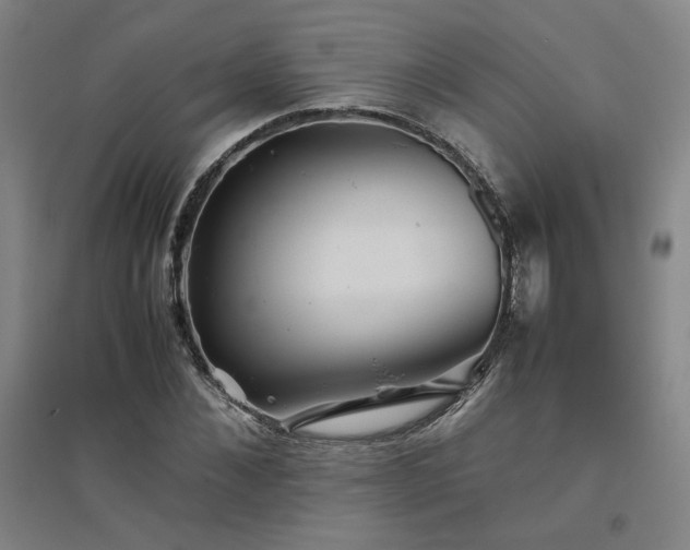 X0000094800876200711161455