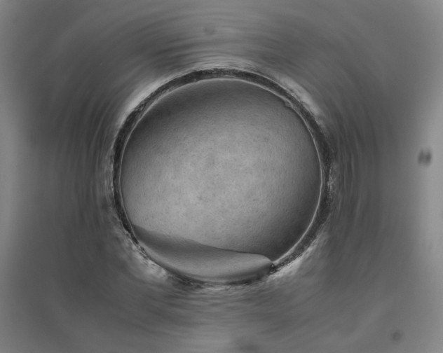 X0000094800877200711161455
