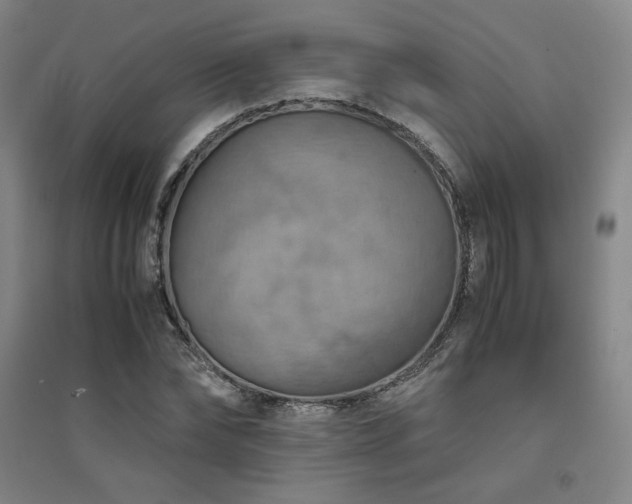 X0000094800878200711161455