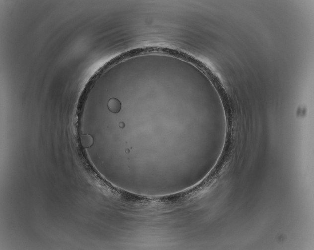 X0000094800879200711161455