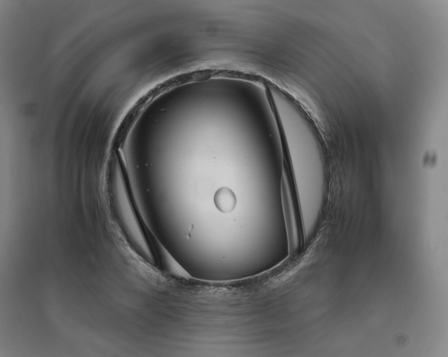 X0000094800880200711161455