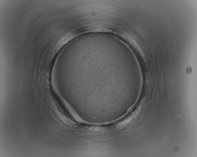 X0000094800881200711161455