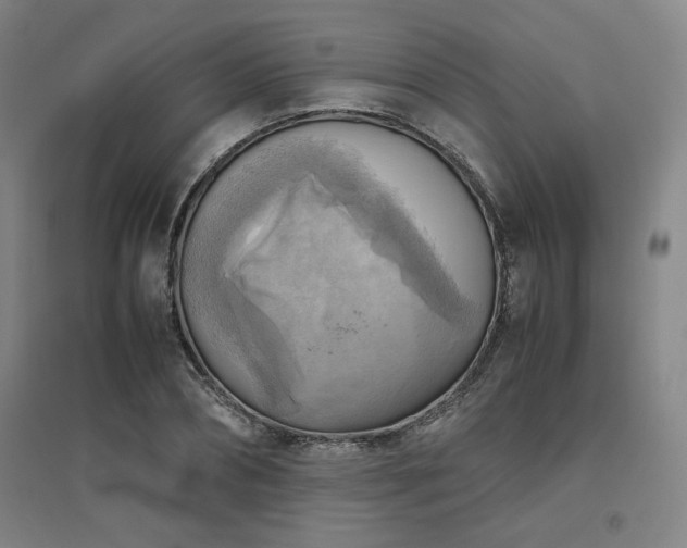 X0000094800882200711161455