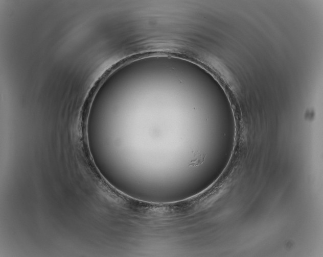 X0000094800883200711161455