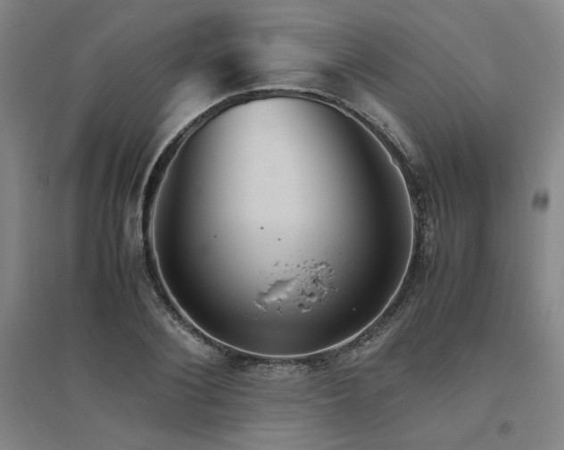 X0000094800884200711161455