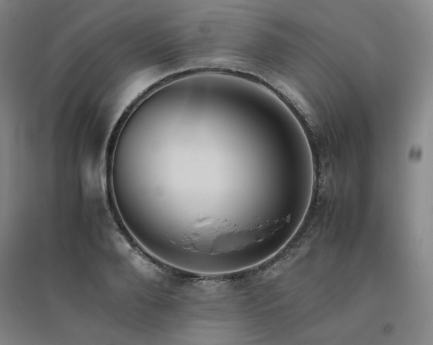X0000094800888200711161455