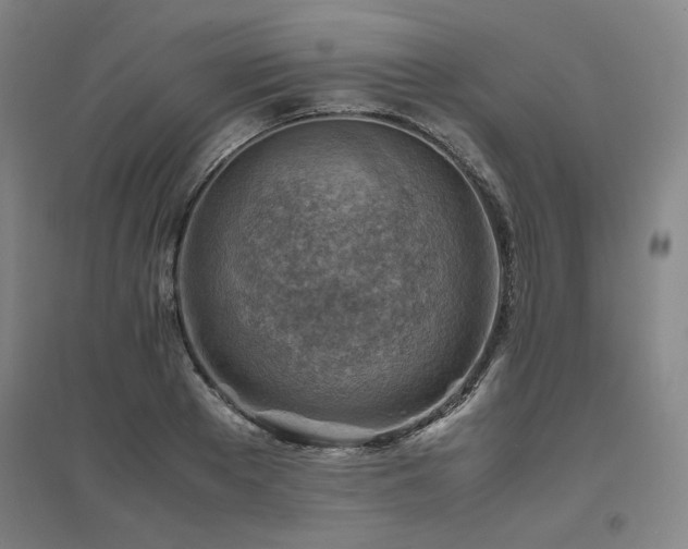 X0000094800889200711161455