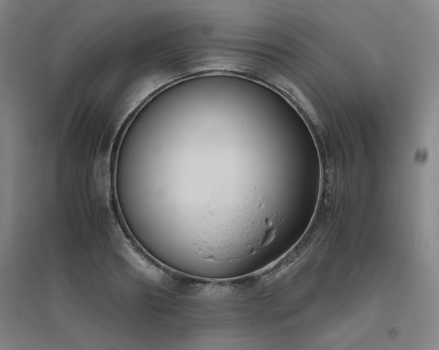 X0000094800890200711161455