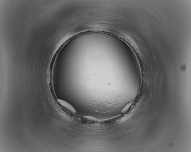 X0000094800891200711161455