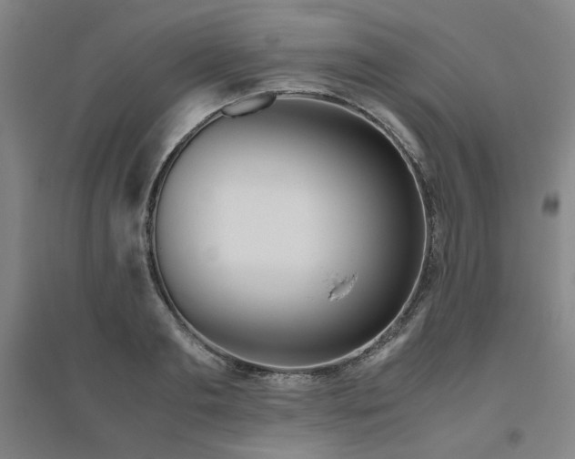 X0000094800893200711161455