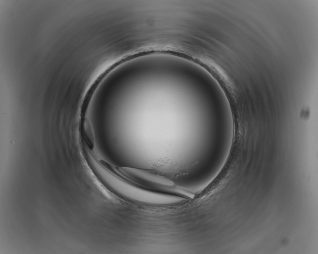 X0000094800894200711161455