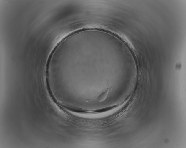 X0000094800895200711161455