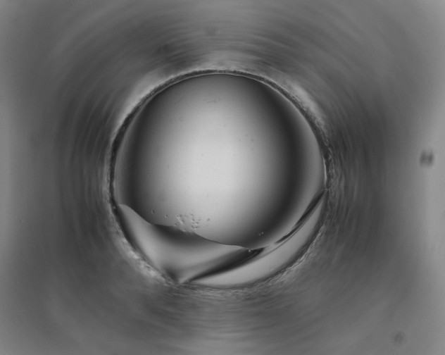 X0000094800896200711161455