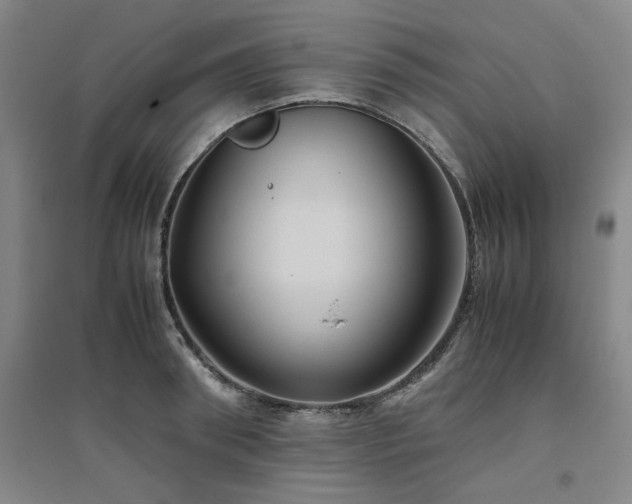 X0000094800898200711161455