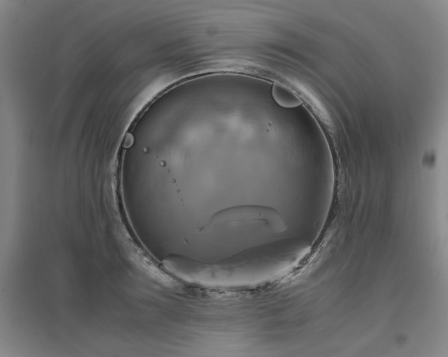 X0000094800899200711161455